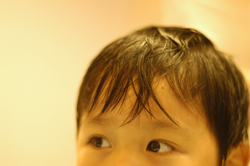 d0129922_8371147.jpg