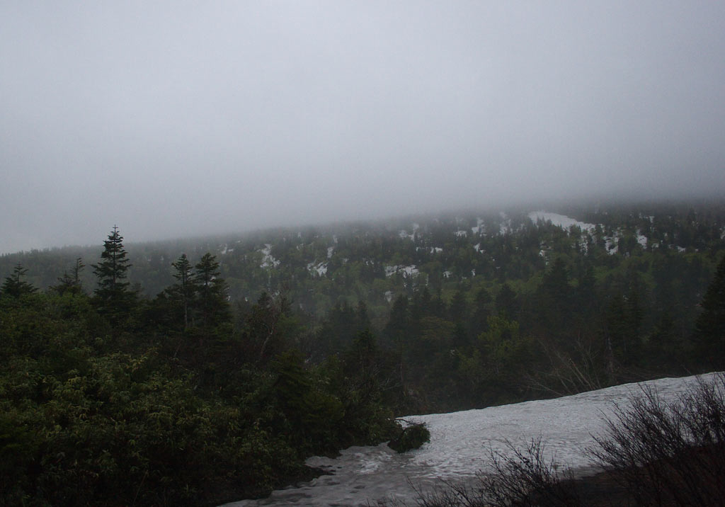 e0001123_014891.jpg