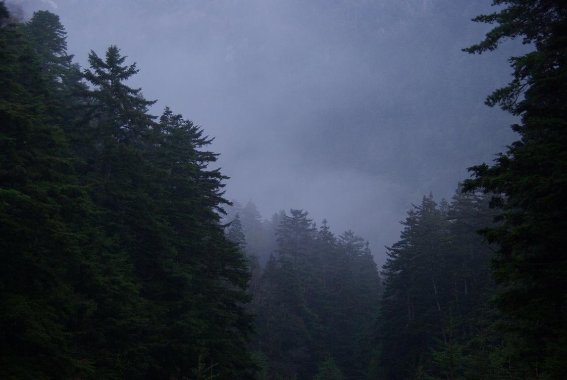 b0062024_84437.jpg