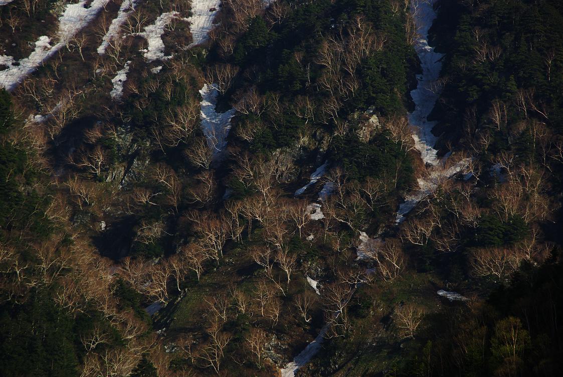 b0062024_8594526.jpg