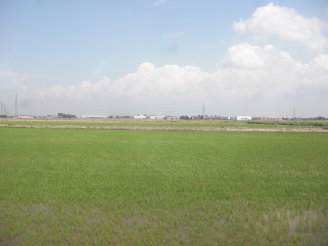 f0173324_22301410.jpg