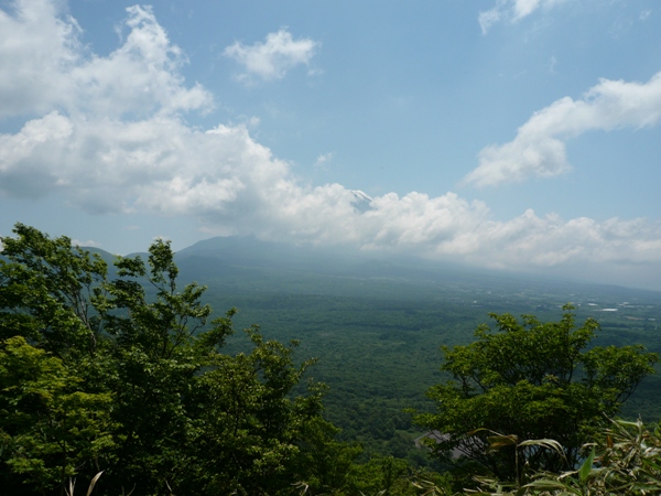 a0049226_17203541.jpg