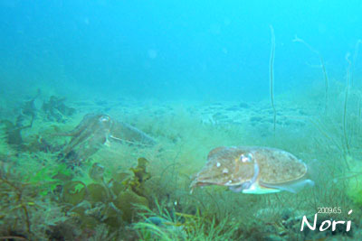 b0044726_10151359.jpg