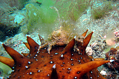 b0044726_1042932.jpg
