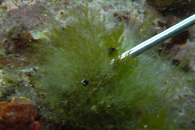 b0044726_10464037.jpg
