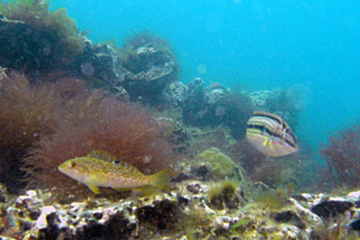 b0044726_10495488.jpg