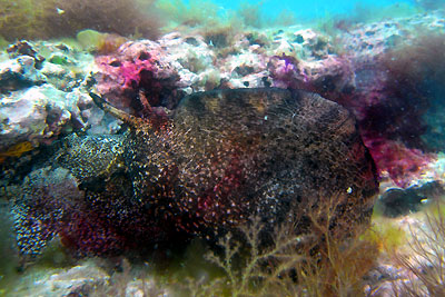 b0044726_1052541.jpg