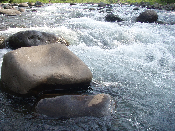 f0103126_22171410.jpg