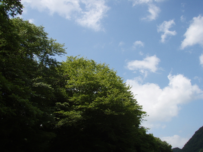 f0103126_22175279.jpg