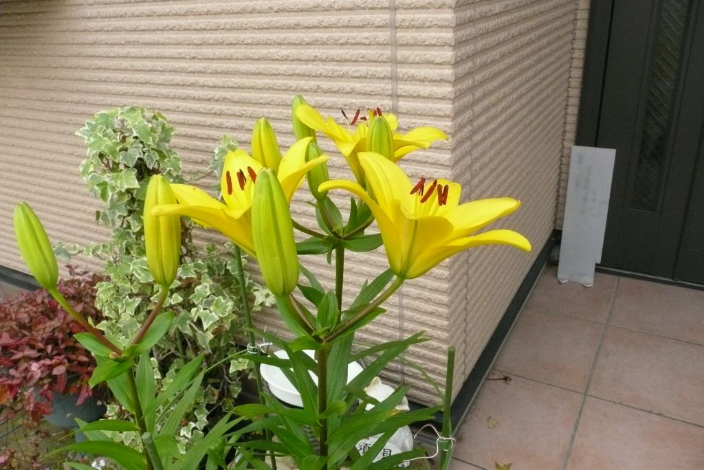 e0033229_2221574.jpg