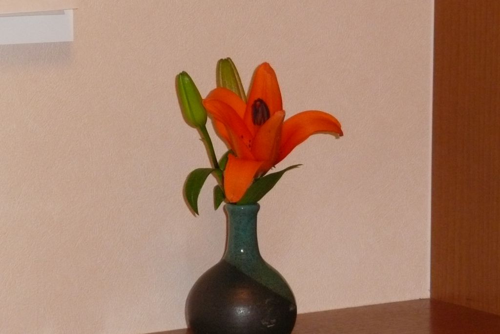 e0033229_22232396.jpg