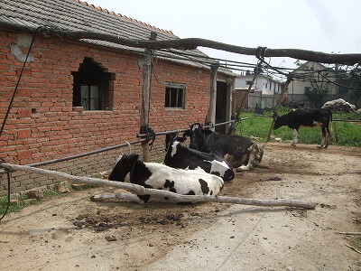 f0139029_2217321.jpg