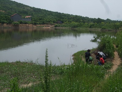 f0139029_22294150.jpg