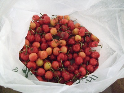 f0139029_22424891.jpg