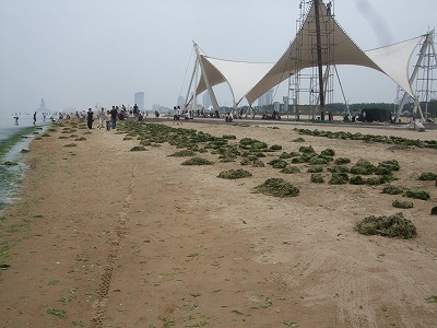 f0139029_22595659.jpg