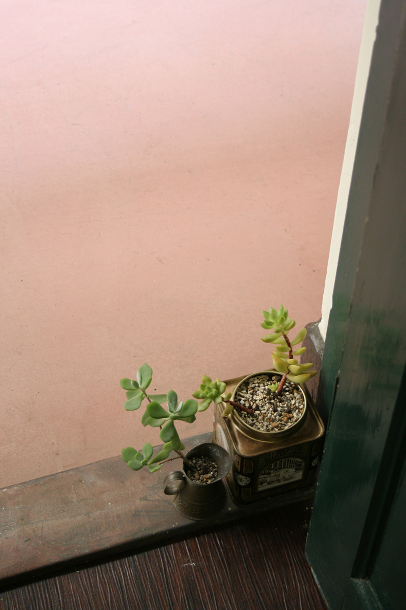 c0073633_2247471.jpg
