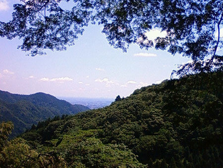 c0024135_0511537.jpg