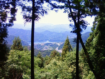 c0024135_10989.jpg