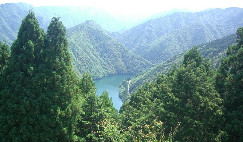 b0029438_8241.jpg