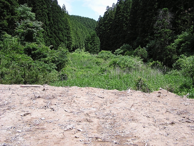 b0099538_5582158.jpg