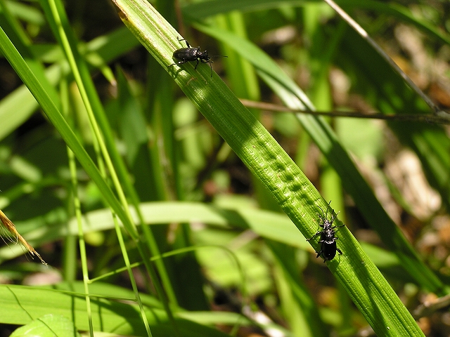 b0099538_625023.jpg