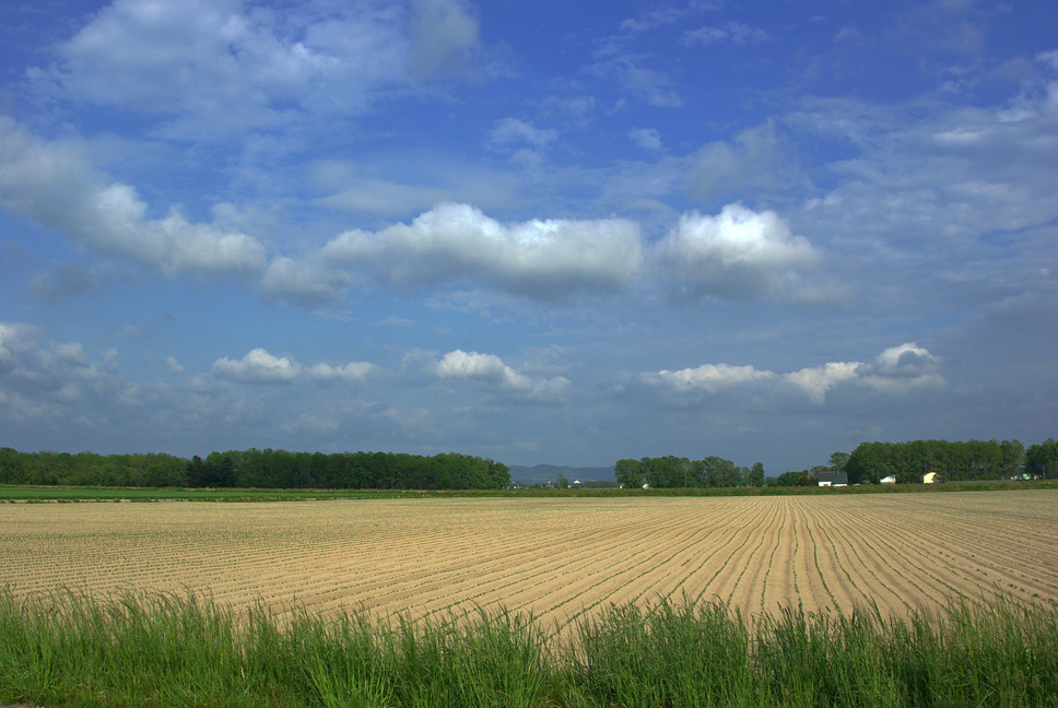 f0152939_5143613.jpg