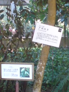 b0188941_2115281.jpg