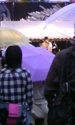 c0042941_7554913.jpg