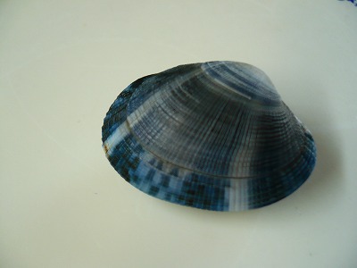 c0035843_23145417.jpg