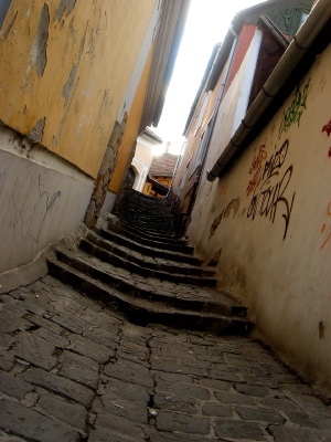 a0072247_422324.jpg