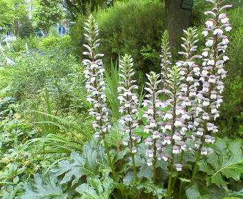 f0073848_22541412.jpg