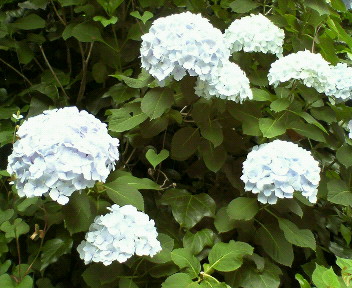 f0073848_22545888.jpg