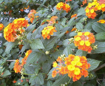 f0073848_22551293.jpg