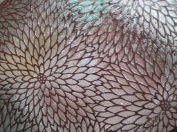 c0047449_1644954.jpg