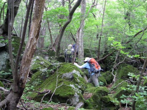 c0179351_20104055.jpg