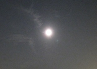 b0173754_1081581.jpg