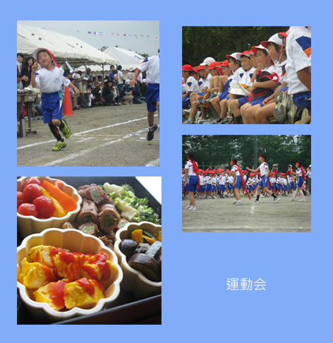 a0079759_11272491.jpg