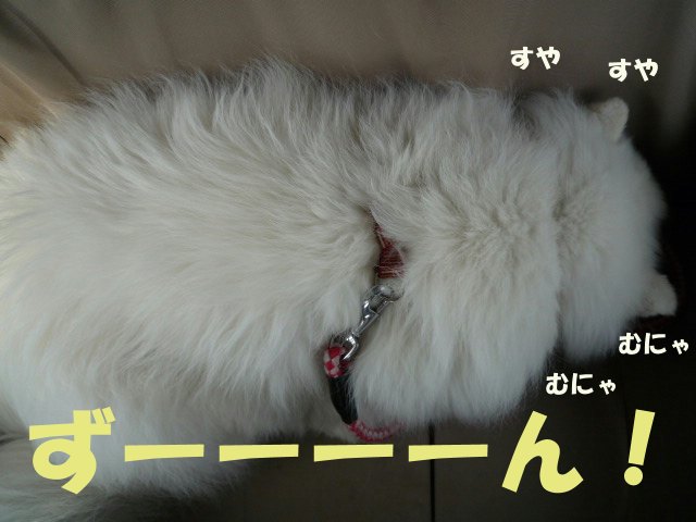 e0176159_15262477.jpg