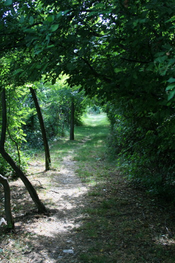 f0077159_1342519.jpg