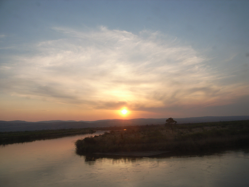 e0167560_10583.jpg