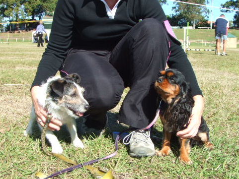 e0171460_22121984.jpg