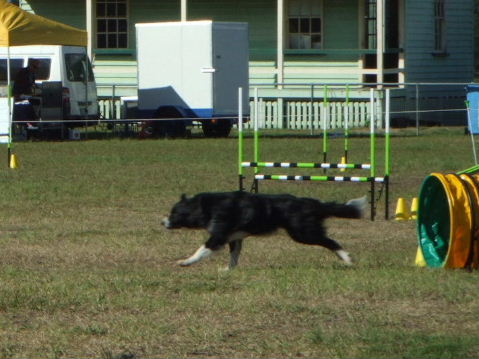 e0171460_223290.jpg
