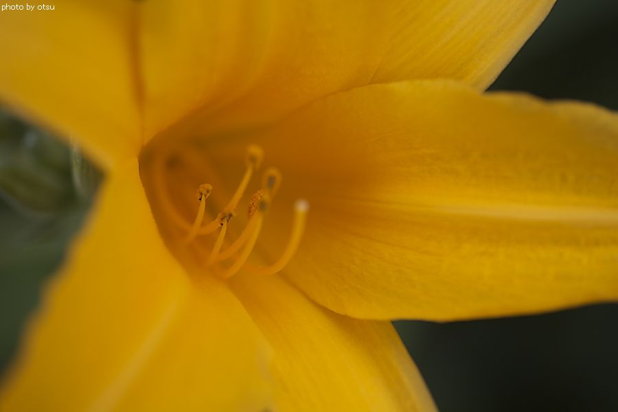 b0098362_5412818.jpg