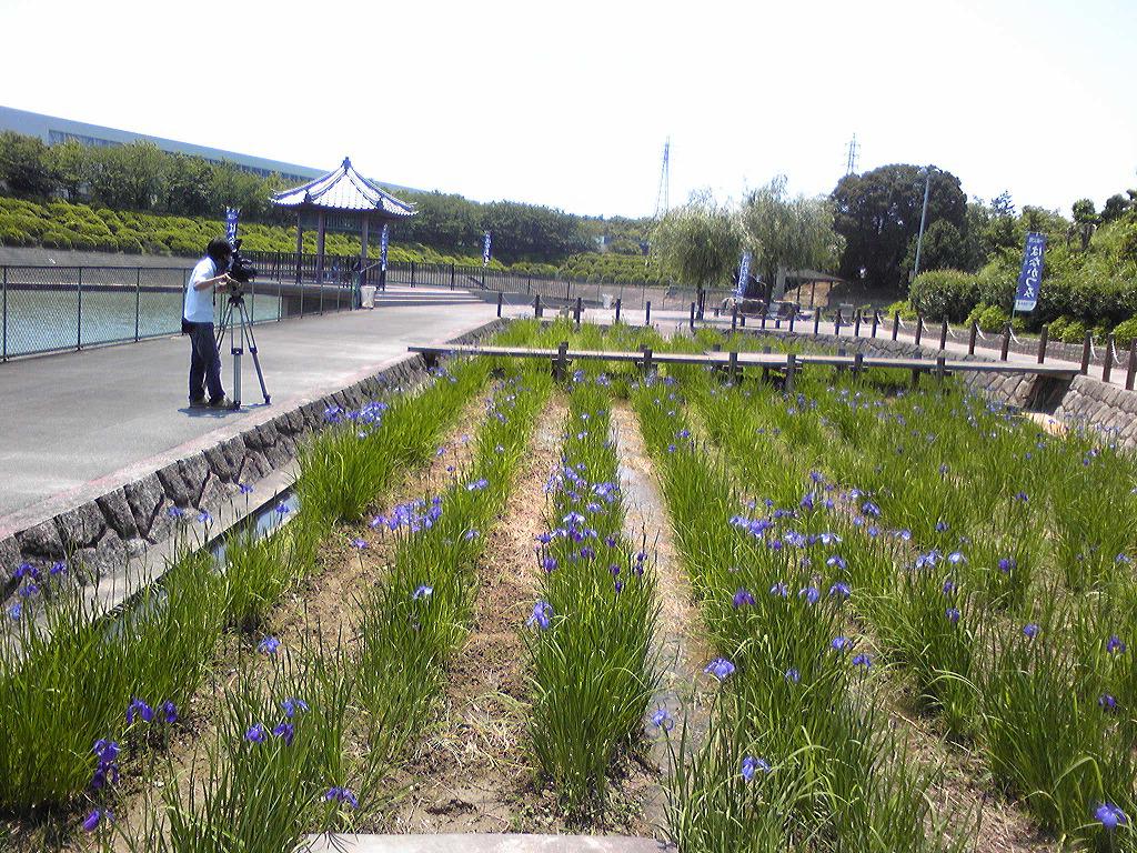 e0054064_23353364.jpg