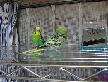 f0196665_0541451.jpg
