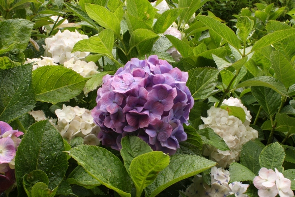 b0069169_0592163.jpg