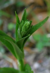 c0042869_83197.jpg