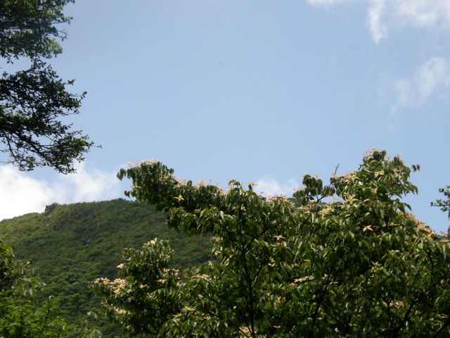 c0042869_854618.jpg