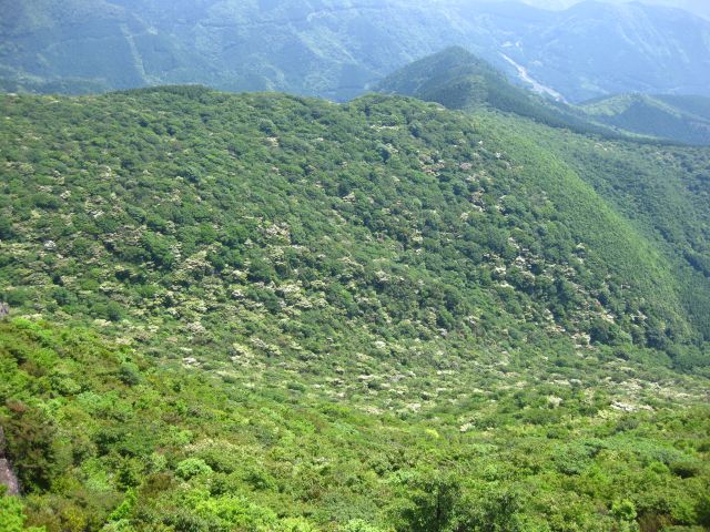c0042869_8562561.jpg