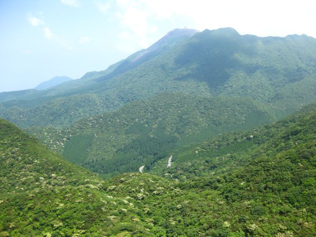 c0042869_856441.jpg